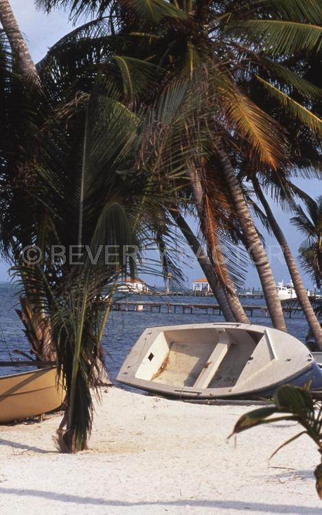 Islands;Belize;Island;blue water;boat;palm trees;blue;water